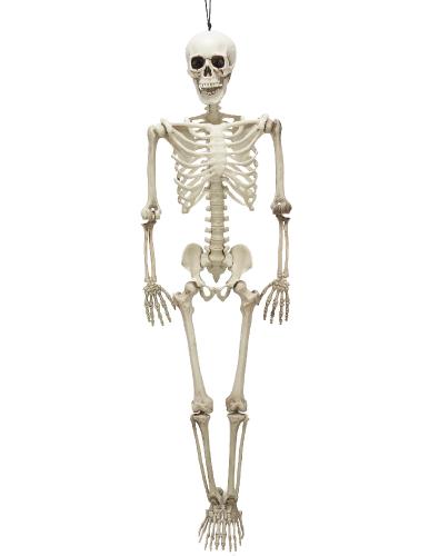squelette halloween plastique