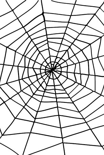 toile d'araignée halloween en plastique