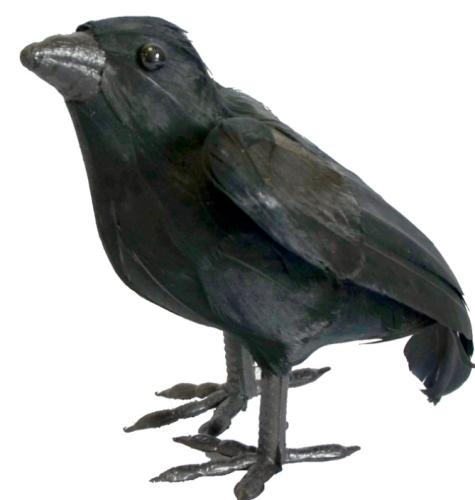 animal corbeau plumes16 cm
