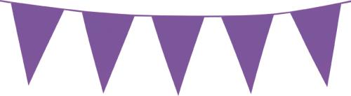 Guirlande fanion violet 10 m