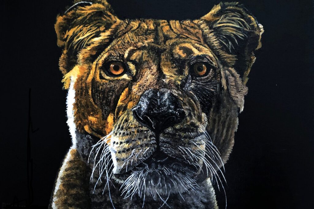 UNSPLASH Image by Photographer 20X16_Samuel Scrimshaw Reference Painting Number: 23, Description “Old Lioness”, Oil Painting 20x16 by Dennis Noreen, Year Painted Jan 2026